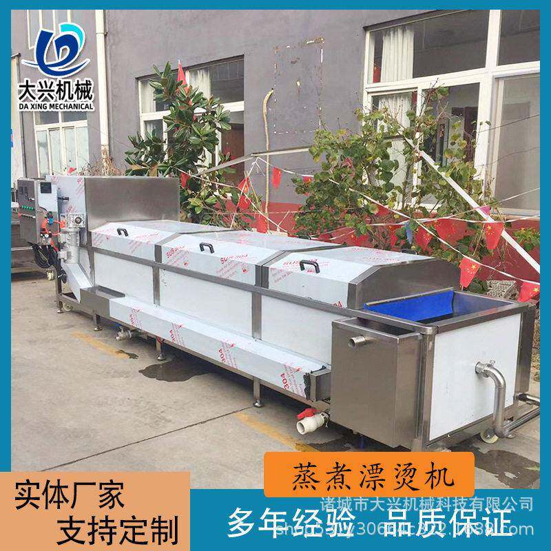 菊花金银花蒸汽杀青机 藕片巴氏杀菌流水线 豆角杀青漂烫流水线
