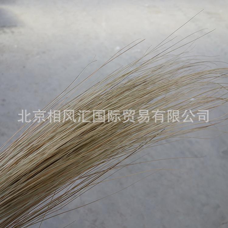 进口干果干花干枝干草搭配装饰拍照道具天然植物花束
