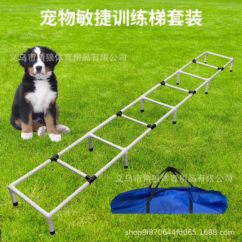 犬敏捷训练梯户外运动器材宠物灵敏度障碍跳跃练习阶梯套装训狗器