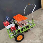汽油动XEY力精苗播出匀蔬机菜播种机草籽薰均衣草条播机
