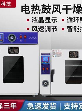 电热恒温干鼓风燥箱实烤验室高温小干型烘机加热烤FUO箱商用大灯