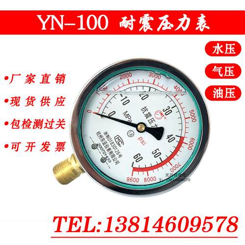 YN100耐震压力表 抗震 液压表 不锈钢压力表 杭州东亚 100mpa