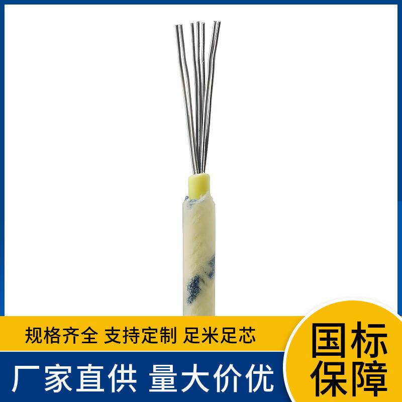 FVI FVLP飞机腊克线 镀锡铜丝 PVC绝缘腊克涂层屏蔽线 防水耐寒