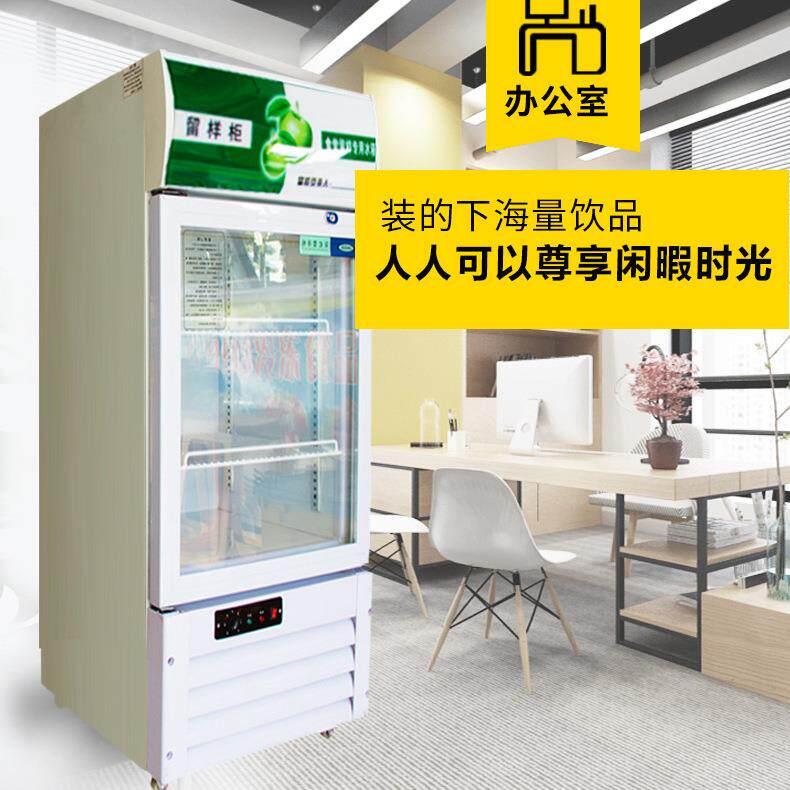 食品留样柜 幼儿园小型立式展示冷藏保鲜柜 学校酒店菜品留样柜
