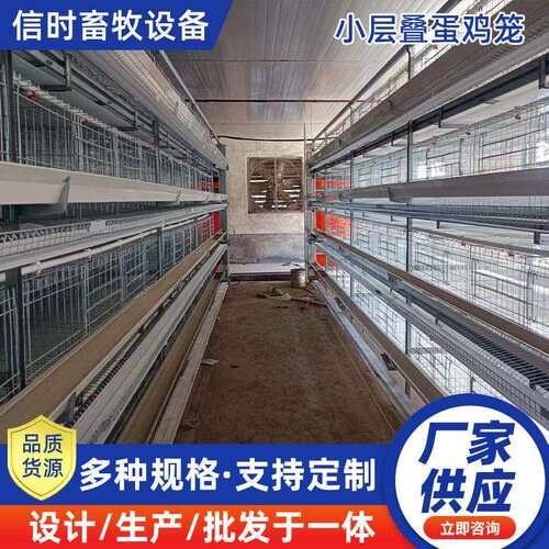 蛋鸡笼捡蛋机h型鸡笼层叠自动化蛋鸡养殖设备固定式升降式捡蛋机