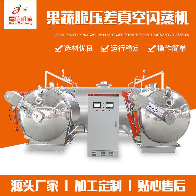 果蔬脆片压差真空闪蒸干燥机果蔬脆片加工设备苹果脆片加工机械