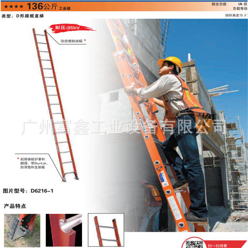 美国WERNER稳耐工业级D形踏棍直梯:D6228-2