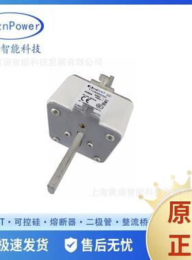 全新现货170M 自恢复熔断器 170M8539 170M8540 170M8541