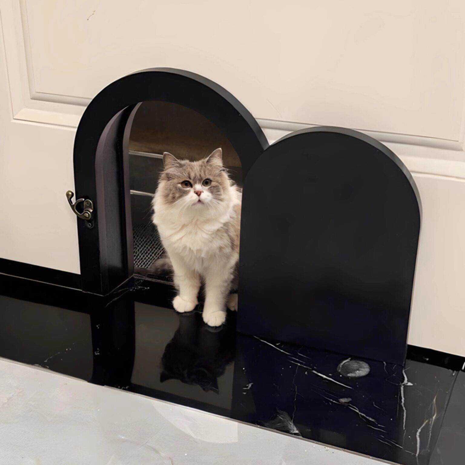 实木猫洞门定制宠物门猫墙洞猫门自由出入猫门洞猫洞卧室门猫门洞