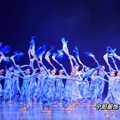 高档有一蹈个地方叫乡演出服同古款舞服装现代扇故子舞少儿典舞表