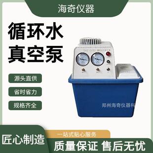 III 型化学实验真空抽气双表双抽头 实验室循环水真空泵SHZ