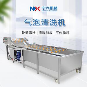 宁兴全自动果蔬气泡清洗机大型商用洗菜机食品包装袋清洗设备