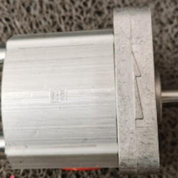 瑞典HALDEX齿轮泵