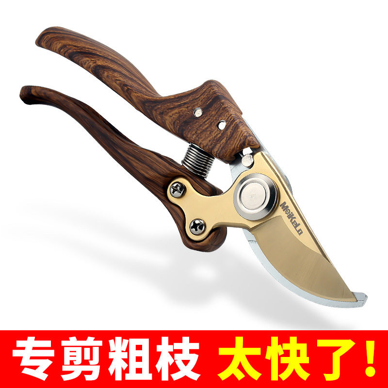 园艺修枝园林花艺树枝果树剪刀