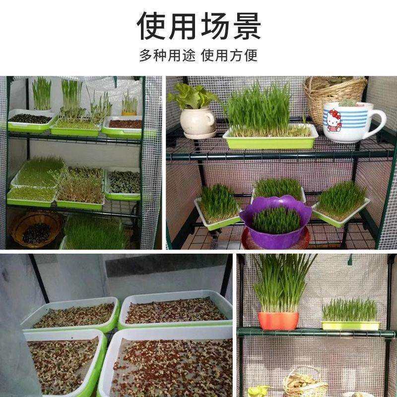 暖棚花园生活阳台花架暖房遮阳花架防雨保温多肉温室育苗大棚