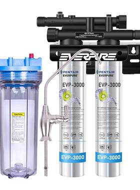 爱惠浦净水器EVP-3000T EVP-6000T EVP-300NT双联家用除铅过滤器