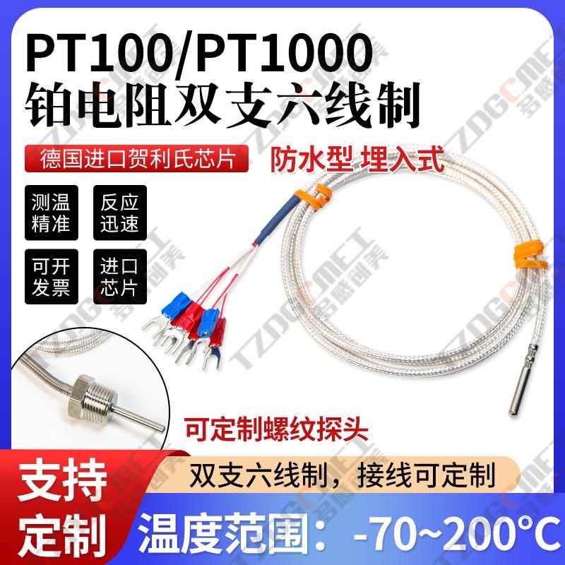 六线双支PT100热电阻两组PT1000铂电阻WZPM2-002埋入式温度传感器