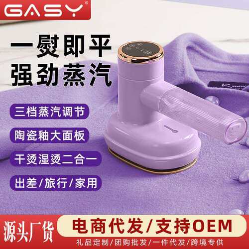 新款手持蒸汽熨烫机便携式迷你小型衣服家用宿舍旅行电熨斗跨境