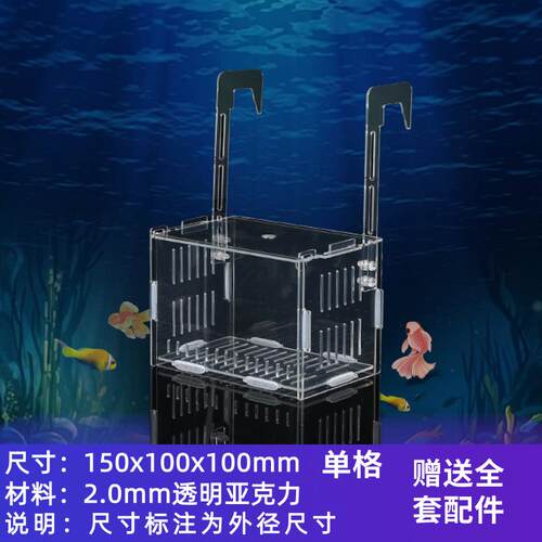 加厚隔离鱼缸混养隔离凤尾孔雀鹦鹉鱼内养活体迷你小鱼苗盒板孵化