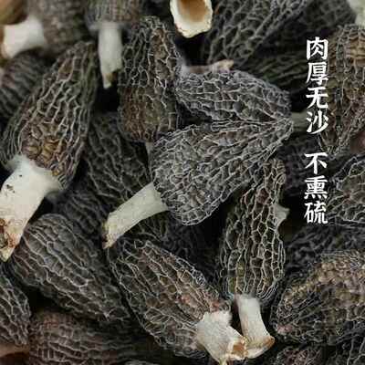 25头茬干羊肚菌HEV干 菌菇煲汤炖煮干羊肚菇新鲜无硫货菌汤食年材