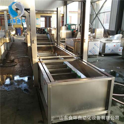 多功能全自动果蔬蔬菜清洗机中药材毛豆清洗机辣椒气泡喷淋清洗机