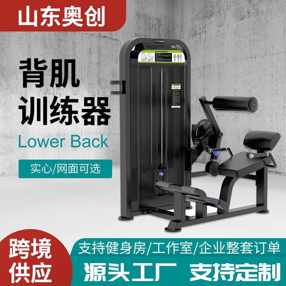 跨境背脊训练健身器材背部后压健身房家用商用一套肌肉力量训练