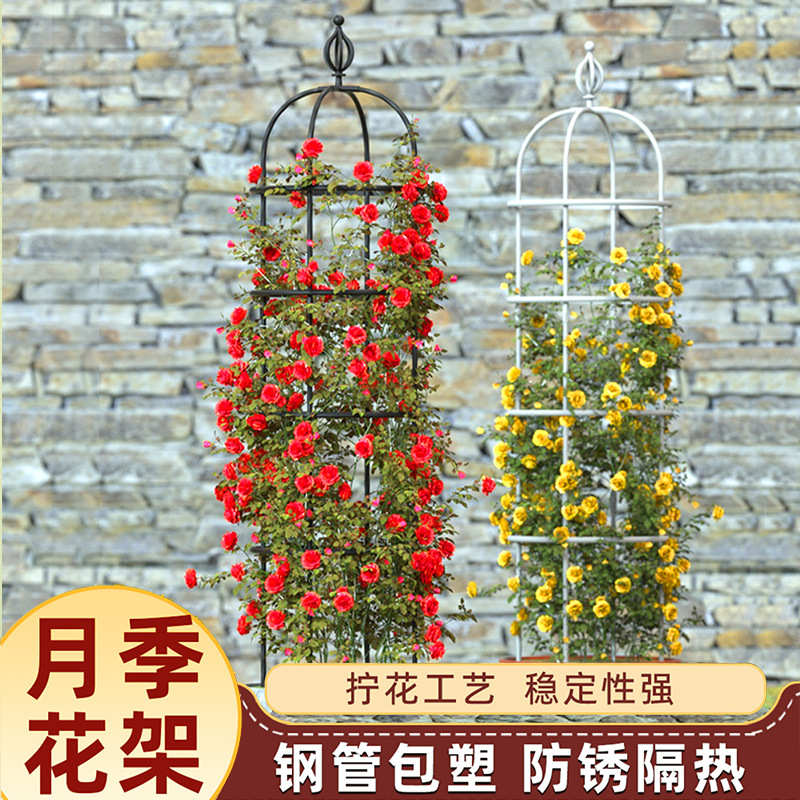 花架铁线莲月季蔷薇花园藤架攀爬藤架爬架支架架子阳台葡萄户外