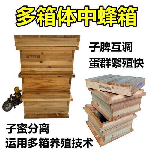 活框土养多箱体中蜂箱gn箱国宝箱式蜜蜂箱格子蜂箱全套子蜜分离箱