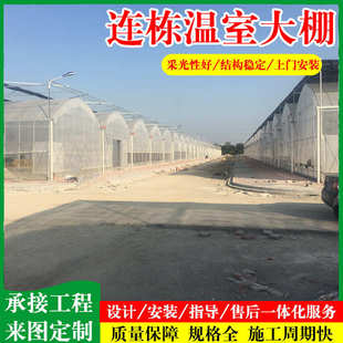 外遮阳薄膜温室大棚 热镀锌管骨架大棚 连栋蔬菜养殖温室大棚建造