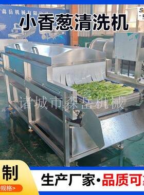全自动洗葱机果蔬材清洗机压喷淋洗菜机洗姜机芹菜清洗机森岳