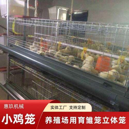 定制立式H型四层2门育雏养殖笼镀锌鸡笼养小鸡鸭鹅畜牧农用养殖笼