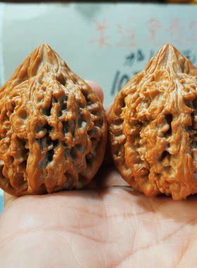 大沽石43特价核桃拍卖9月30