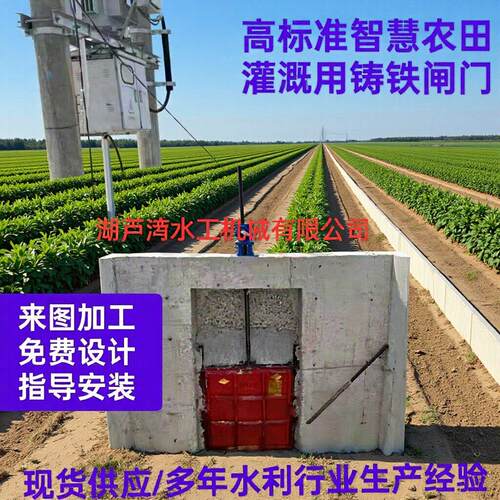 现货平板铸铁闸门标准智慧农田灌溉启闭机手电两用水库