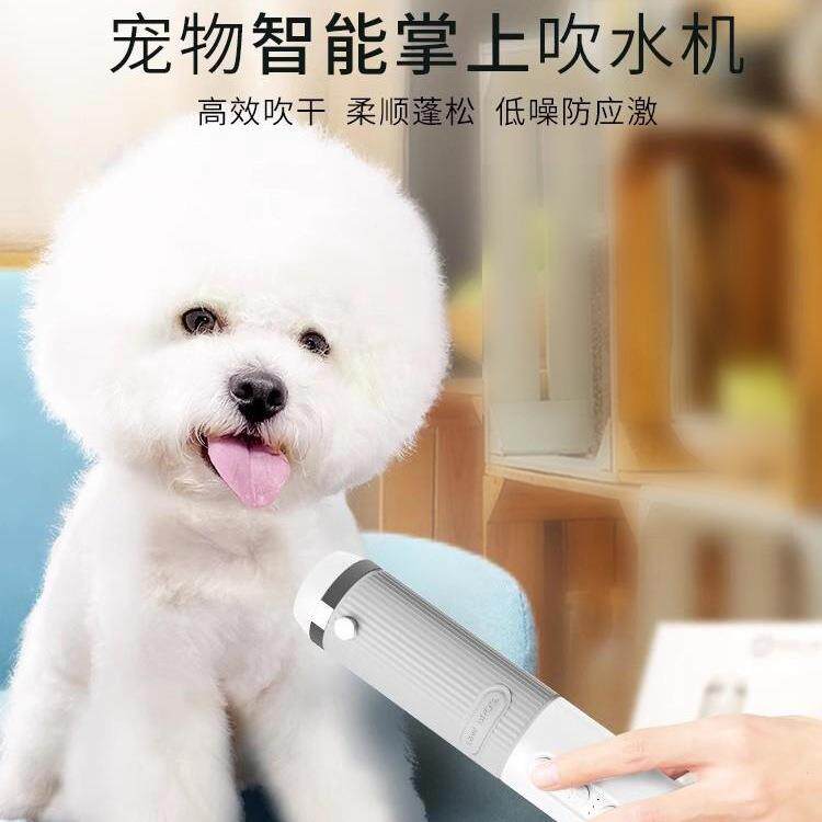 宠物掌上吹水机狗狗洗澡专用吹毛神器洗澡吹干吹风机比熊泰迪其他