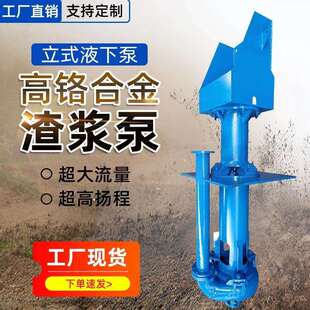 液下渣浆泵YZ型号渣浆泵泥浆泵抽泥沙 ZJL立式