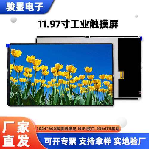 12寸液晶触摸屏LCD屏1200×2000全视角工业控制MIPI接口总成