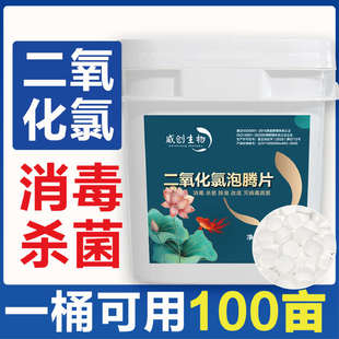 泡腾片净化水产鱼池水质二氧化氯养殖杀菌鱼塘池塘消毒养鱼净水剂