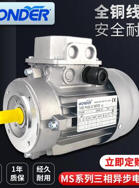 诠世同款万德万达三相异步铝壳感应电动机MS系列MS8024立卧