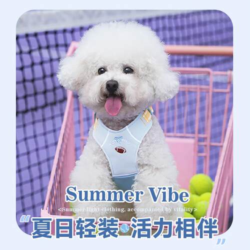 TUFFHOUND它愿狗狗胸背大中小型泰迪柯基柴犬防挣脱防爆冲牵引绳
