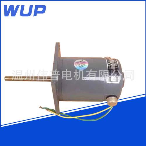 Y列永磁直流电机ZZYT-70动系09896835W长轴电机轴长85MM