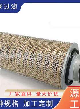C33920空气滤芯05821181空滤12189925 P780006 AF25062