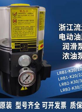 浙江流遍电动油脂润滑泵LRB1/LRB2/-K30/K20/冲床电动黄油泵