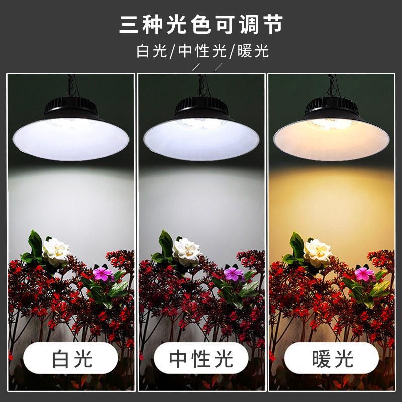 太阳能室外工矿吊灯过道走廊阳台照明路灯太阳能户外庭院灯图片