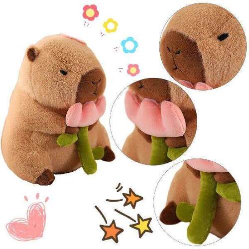 30 Cm Capybara Stuffed Animals Toy Cute Ultra Soft Plushie0
