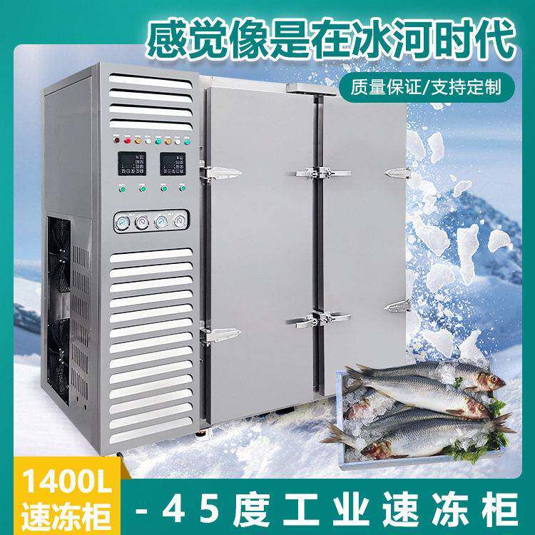 外贸出口非洲商用速冻柜风冷无霜急速冷冻机无霜食品速冻设备