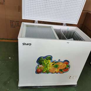 房车冰箱车载冰箱12V24v电瓶DC直流冰柜车家两船用冷冻太阳能冰柜