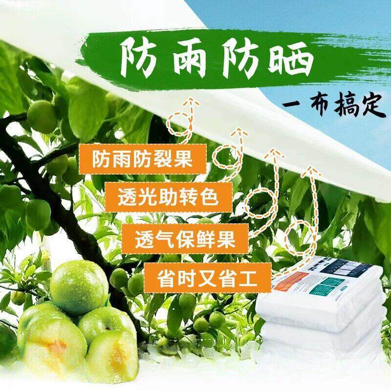 大樱桃专用防雨布防雨纸大樱桃防雨水蜡纸防裂果油纸加厚大白蜡纸