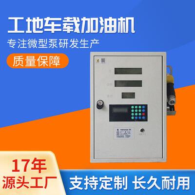 厂家直销DT系列加油机.工地车载加油机.12V高精确度防爆加油机