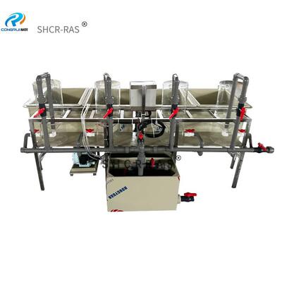 循环水大型全自动一体化孵化系统罗非鱼鲶鱼鳗鱼鱼苗鱼卵孵化器