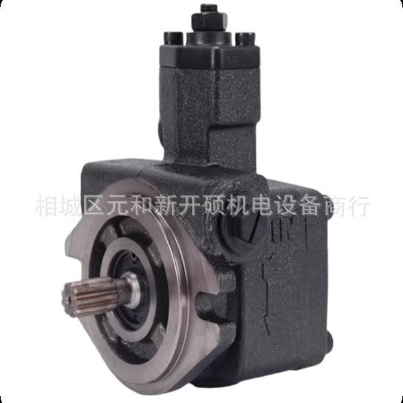 vp变量叶片泵VP-SF-12-D液压油泵泵头低压液压泵低噪音液压站配件图片